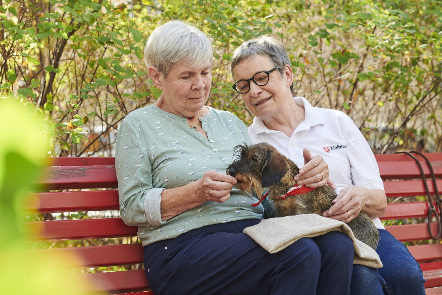 Zwei ältere Frauen sitzen auf einer Bank im Park mit einem Hund auf dem Schoß