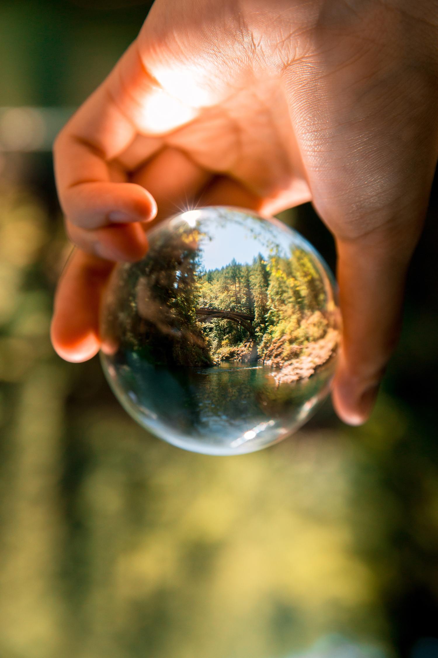 Hand hält eine Glaskugel, in der sich die Natur spiegelt.