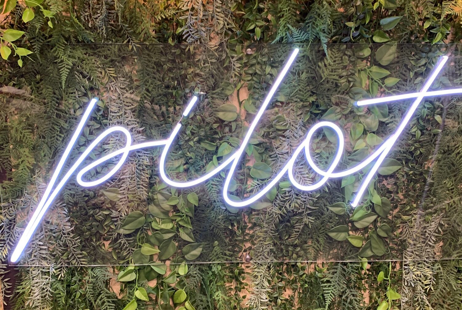11. Leuchtendes „pilot“-Logo auf einer grünen Wand.