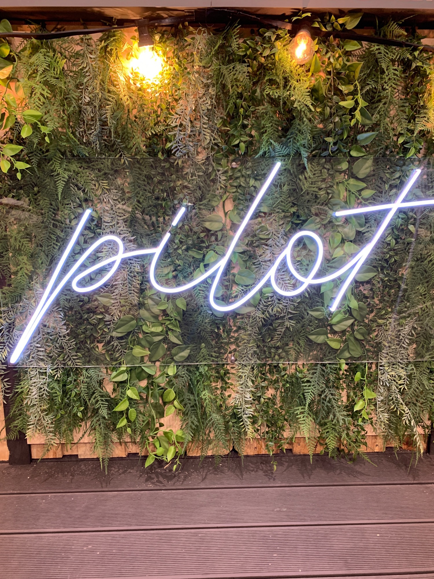 11. Leuchtendes „pilot“-Logo auf einer grünen Wand.