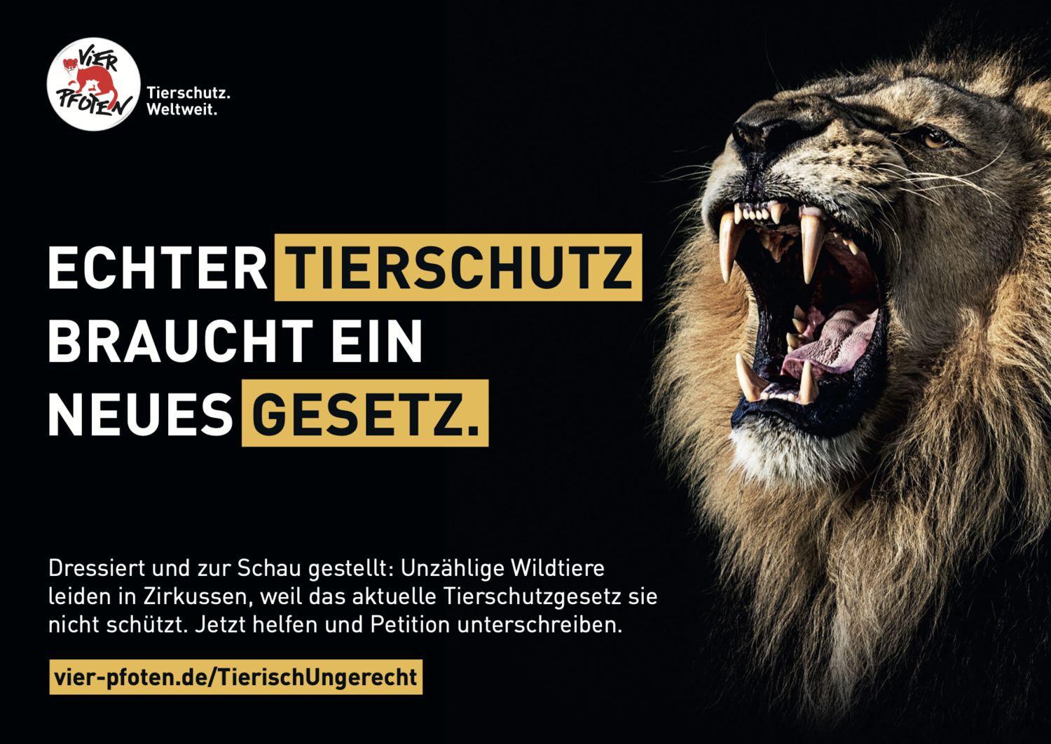 Kampagne für Tierrechte: Menschen setzen sich für den Schutz von Tieren und deren Rechte ein.