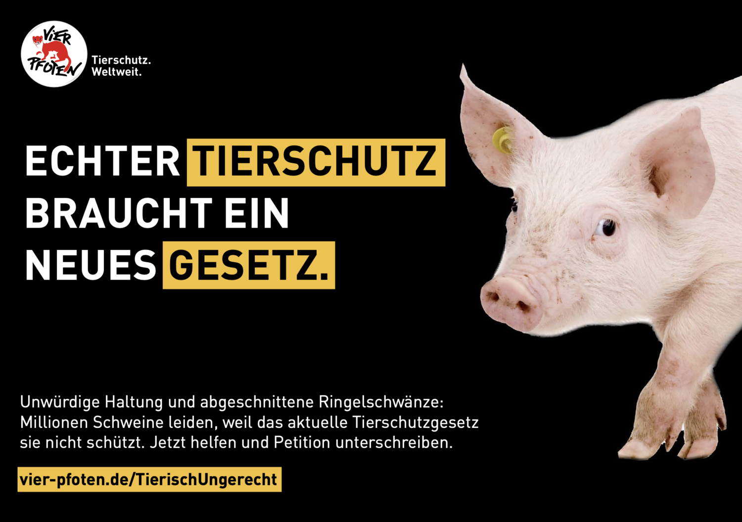 Kampagne für Tierrechte: Menschen setzen sich für den Schutz von Tieren und deren Rechte ein.