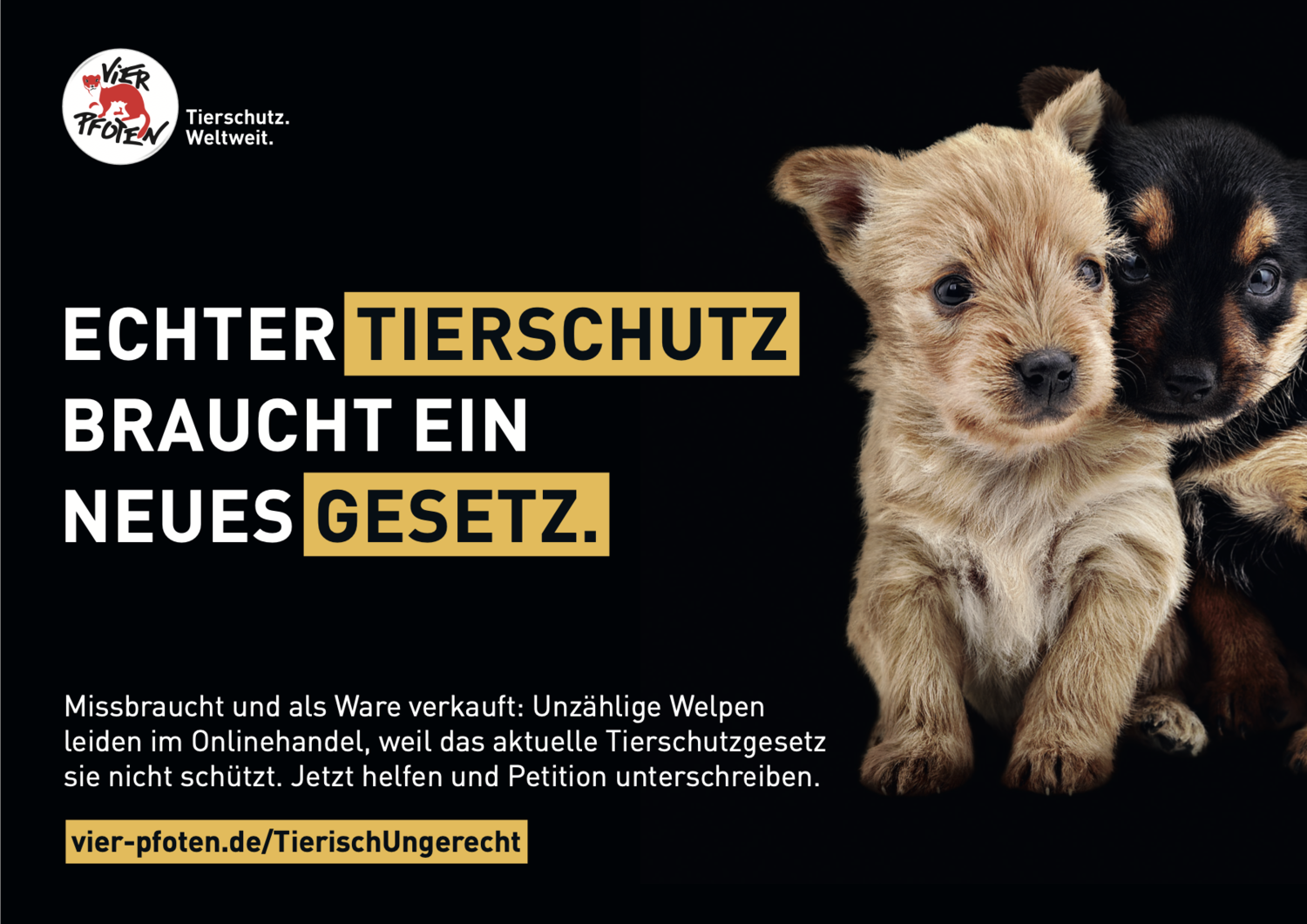 Kampagne für Tierrechte: Menschen setzen sich für den Schutz von Tieren und deren Rechte ein.