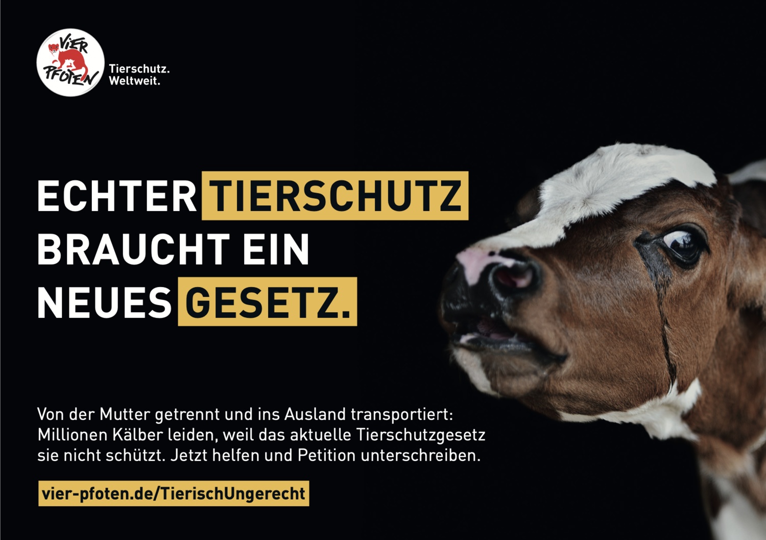 Kampagne für Tierrechte: Menschen setzen sich für den Schutz von Tieren und deren Rechte ein.