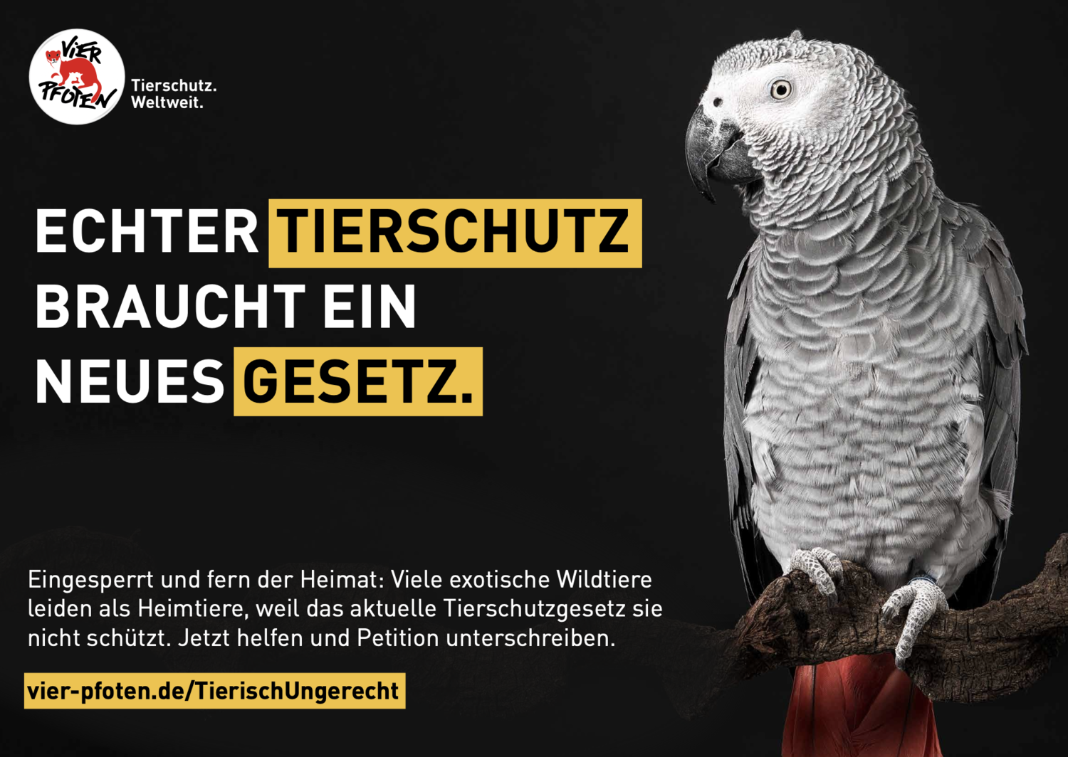 Kampagne für Tierrechte: Menschen setzen sich für den Schutz von Tieren und deren Rechte ein.