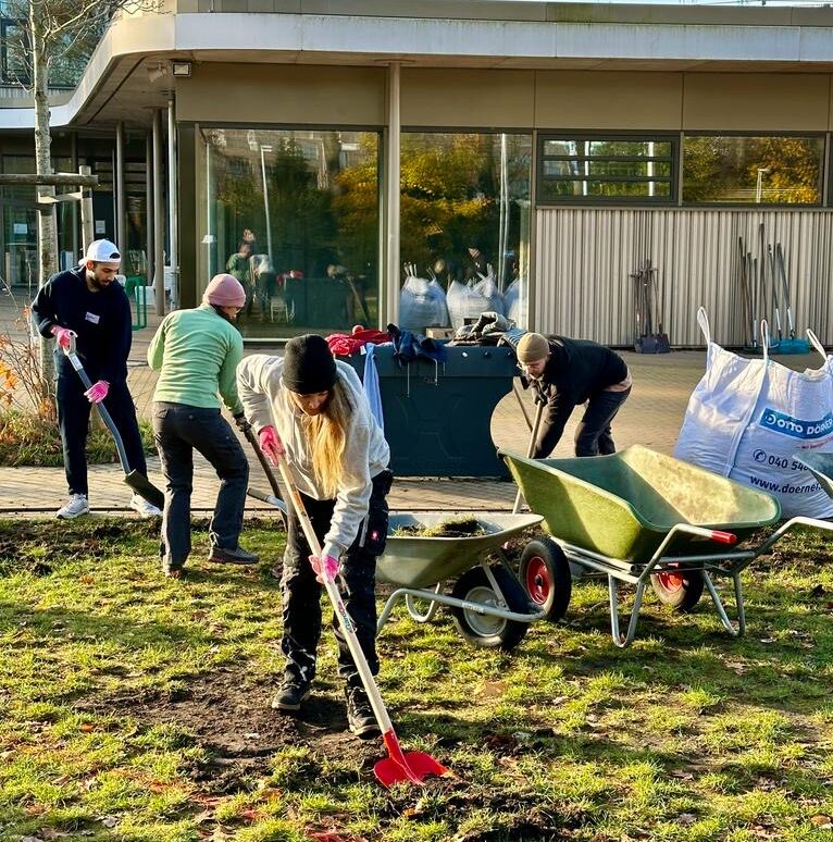 Menschen arbeiten auf dem Rasen vor einem Gebäude und gestalten die Umgebung