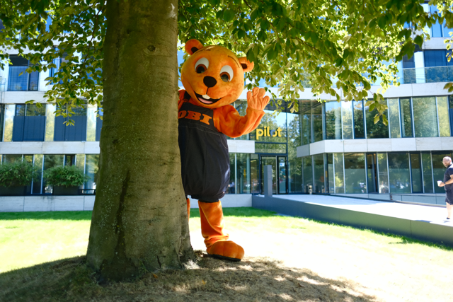 OBI Bieber guckt hinter Baum hervor