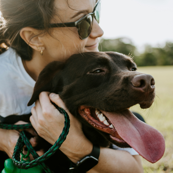 Eine Frau umarmt einen brauen Hund, der an einer grünen Leine ist.